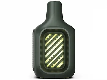 Głośnik bezprzewodowy Soundcore Boom 2 Zielony