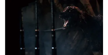 Sony Gra PS4 Bloodborne GOTY