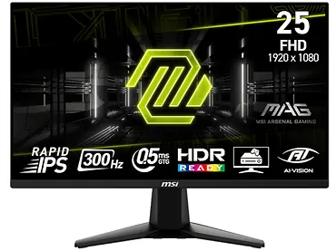Monitor 24,5