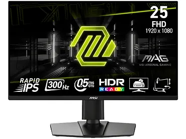 Monitor 24,5