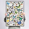 CzuCzu Puzzle Puzzlove Motyle 1000 elementów