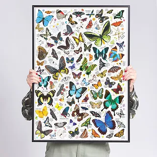 CzuCzu Puzzle Puzzlove Motyle 1000 elementów