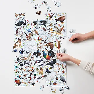 CzuCzu Puzzle Puzzlove Ptaki 200 elementów