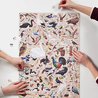 CzuCzu Puzzle Puzzlove Ptaki 1000 elementów