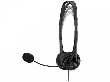 Słuchawki HP Stereo USB Headset G2 (428K6AA)
