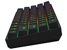 Klawiatura mechaniczna SAVIO BLACKOUT X2 OUTEMU Brown, Hot Swap