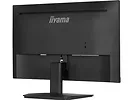 Monitor 24