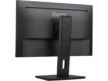 Monitor 24