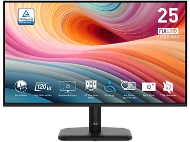 Monitor 24,5