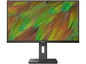 Monitor 31,5
