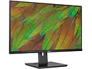 Monitor 31,5
