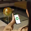 Mostek Wi-Fi zamka Linus