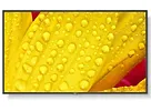 NEC Monitor wielkoformatowy MultiSync M551-2 55 cali UHD 500cd/m2 24/7