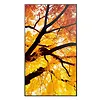 Sharp Monitor wielkoformatowy MultiSync M552 55 cali 550cd/m2 24/7