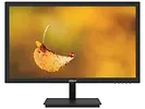Monitor 19