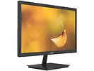 Monitor 19