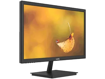 Monitor 19
