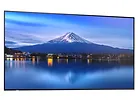 Sharp Monitor wielkoformatowy MultiSync P556 55 cali UHD 700cd/m2 24/7