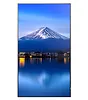 Sharp Monitor wielkoformatowy MultiSync P556 55 cali UHD 700cd/m2 24/7