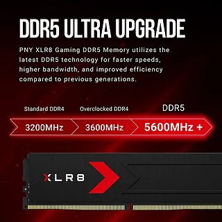 PNY Pamięć DDR5 64GB (2x32) 6000 C30