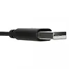 Targus Słuchawki Stereo Headset, czarne