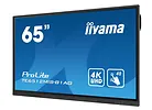 IIYAMA Monitor 65 cali TE6512MIS-B4AG  40pkt,IPS,4K,24/7,7H, ANDROID 14, RK3576, 8/128GB, EDLA, Essential