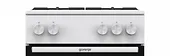 Gorenje Kuchnia gazowa GG5A10WFFM