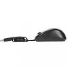 Targus Mysz Compact BlueTrace, czarna