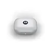 Motorola Słuchawki Moto Buds Blueberry