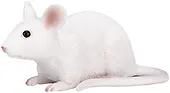 MYSZ - Mouse - MOJO - 387235