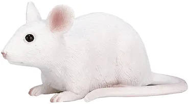 MYSZ - Mouse - MOJO - 387235