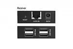 Digitus Przedłużacz (extender) po skrętce kat.6 USB 2.0 do 150m, 4x USB-A do 480 Mbps, 1x RJ45 (Gigabit Ethernet) - zestaw (odbiornik/nadajnik)