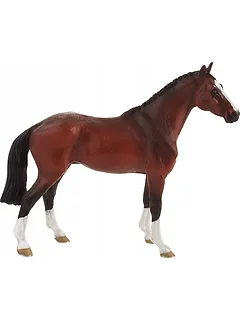 Koń holenderski gorącokrwisty