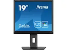 Monitor 19