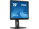 Monitor 19