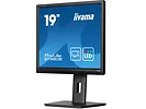 Monitor 19