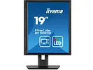 Monitor 19