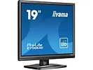 Monitor 19