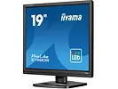 Monitor 19