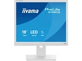 Monitor 19