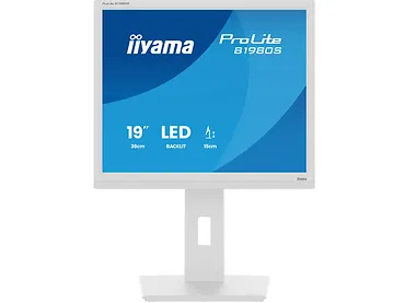 Monitor 19