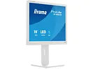 Monitor 19