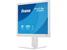 Monitor 19