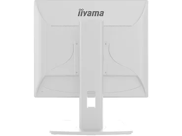 Monitor 19