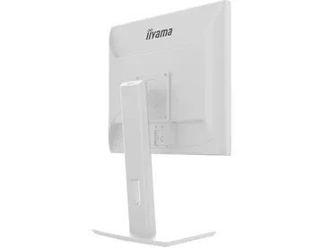 Monitor 19