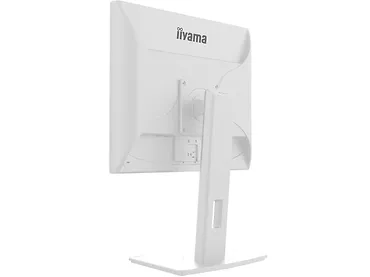 Monitor 19