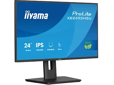 Monitor 24