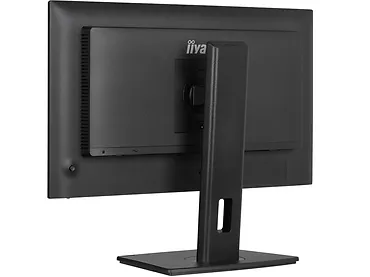 Monitor 24