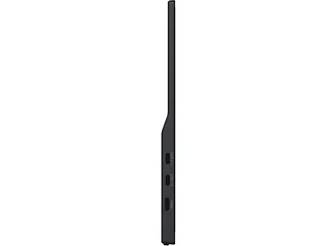 Monitor 15,6