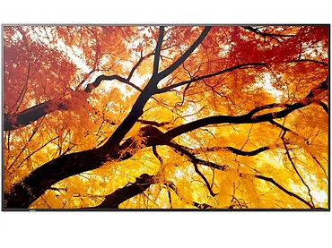 Monitor wielkoformatowy 32